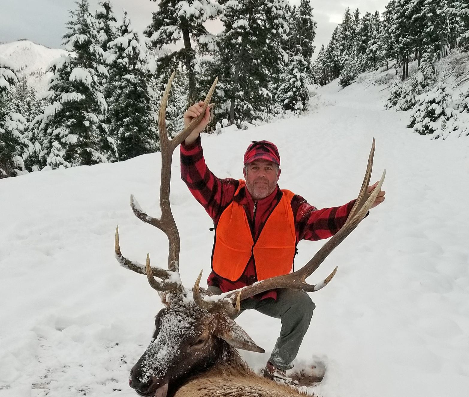 No small bull